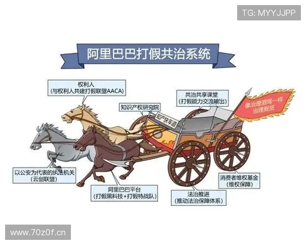 企业家群体崛起与创新驱动：从商业模式到社会责任的全面探索